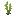 Kelp
