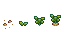 Growth stages of Parsnip