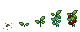 Growth stages of Red Pepper
