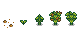 Growth stages of Coffee