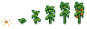 Growth stages of Mango