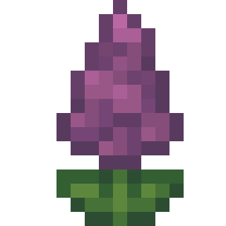File:Common Hedgenettle.png