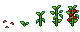 Growth stages of Tomato