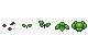 Growth stages of Cabbage