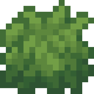 File:Raspberry Bush.png
