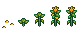 Growth stages of Corn