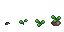 Growth stages of Duskroot