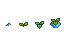 Growth stages of Dewdrop Vine