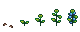 Growth stages of Starbell