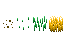 Growth stages of Wheat