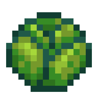 File:Lettuce.png