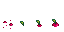 Growth stages of Turnip