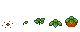 Growth stages of Hearthgourd