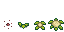 Growth stages of Cauliflower