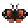 Red Admiral