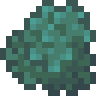 Juniper Blue Star