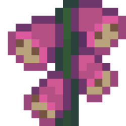 Purple Foxglove.png