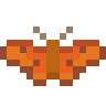 Julia Butterfly