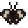 Carolina Satyr