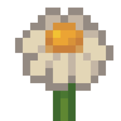 Chamomile.png