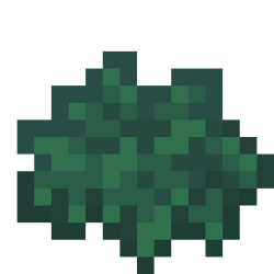 Dwarf Norway Spruce.png