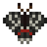 Zebra Swallowtail