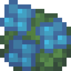 Hydrangea.png