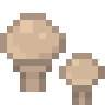White Button Mushroom