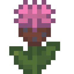 Common Knapweed.png
