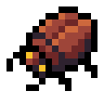 Cave Insect