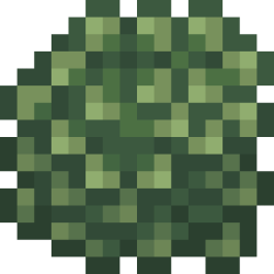 Winter Creeper.png