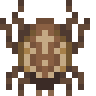 Cross Orbweaver Spider