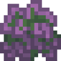 Thumbnail for version as of 17:41, 16 June 2026