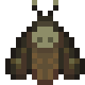 Death's Head Hawk Moth