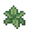 Dogwood