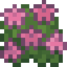 Azalea
