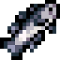 Thumbnail for version as of 10:03, 17 June 2026