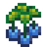 Enchanted Vine