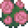 Camelia