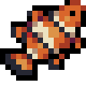 Clownfish