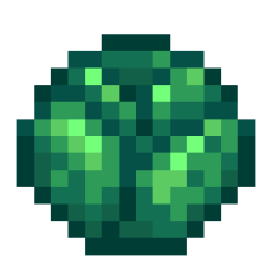 Cabbage.png
