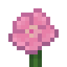 Musk Mallow