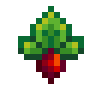 Radish