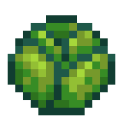 Lettuce.png