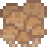 Beech Mushroom