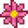 Queen's Bloom